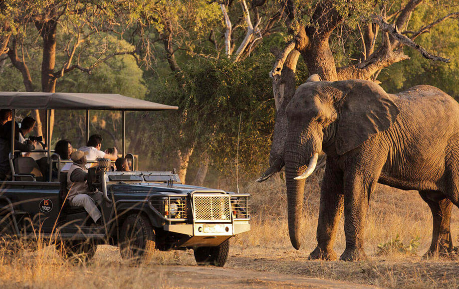 4 days Luxury safari in South Luangwa