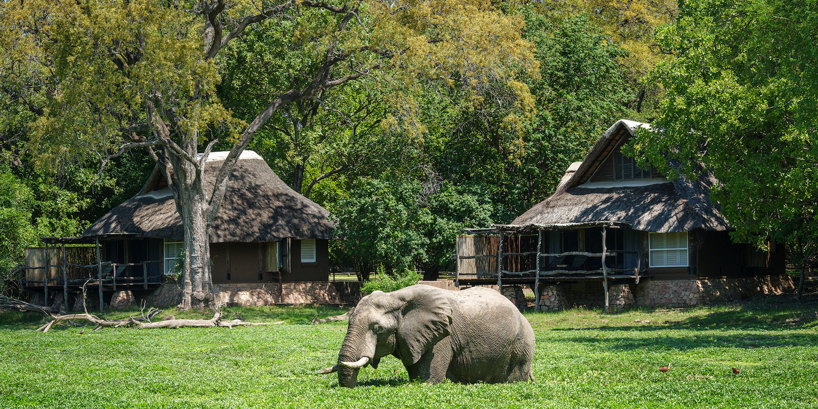 7 days Zambia safari where to stay