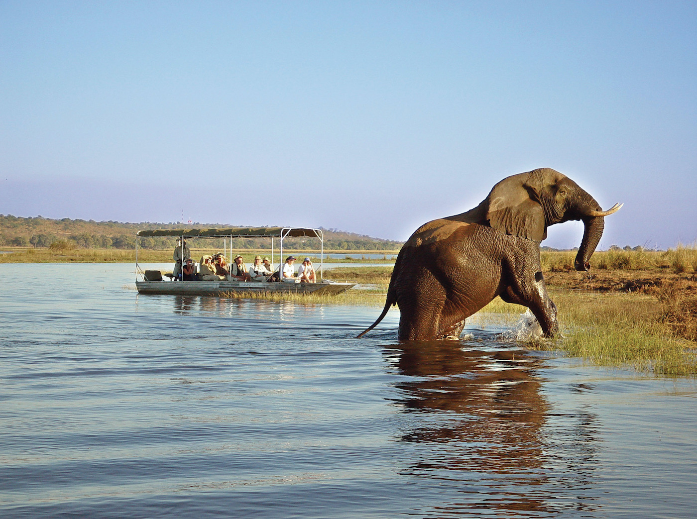 Zambia National Parks, South Luangwa 